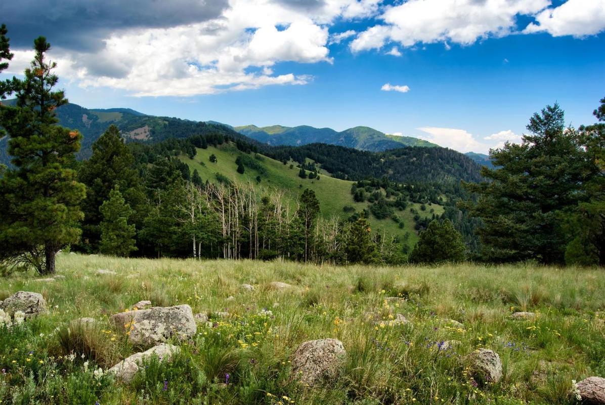 Destiny Cabin, 2 Bedrooms, Fireplace, Midtown, Sleeps 7 Ruidoso Εξωτερικό φωτογραφία